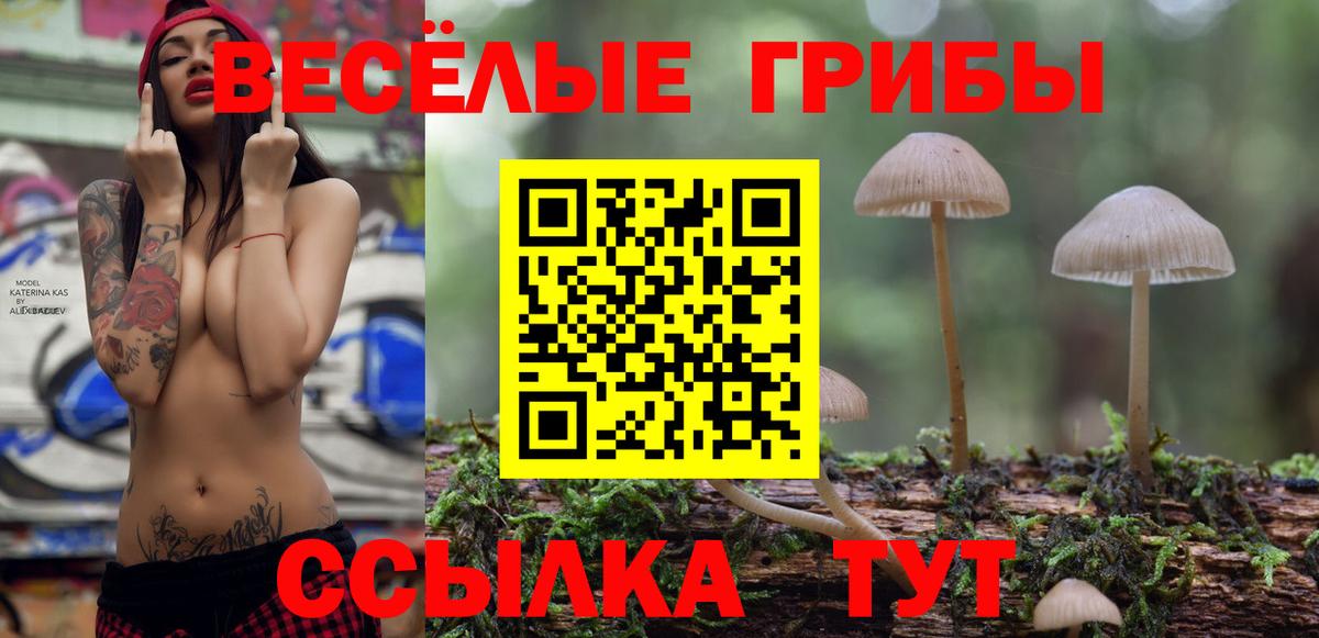 Галлюциногенные грибы Cubensis  Вход с VPN  Корсаков 